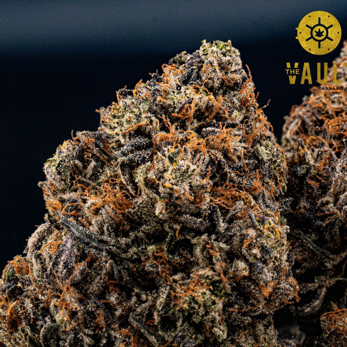 AAAA+ | Jet Fuel Bubba