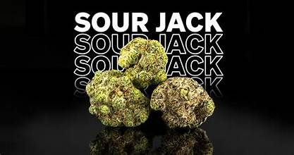 Cypress Flower Sour Jack Sativa, 3.5G