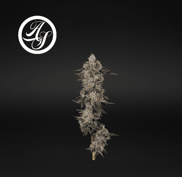 Alt Sol | Blue Sharpies - Flower | 14g | Indica-Hybrid