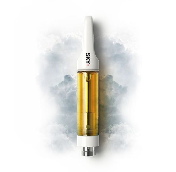 Bloom Skywalker 1g Cartridge