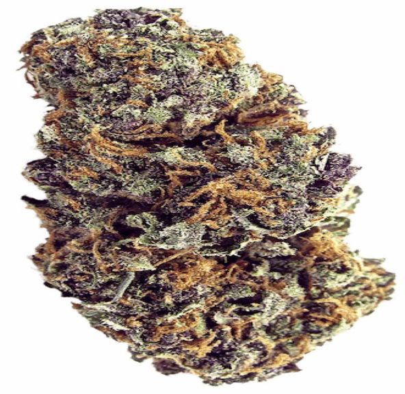 Forbidden Fruit