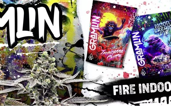 Gramlin - 14g - Honey Buns