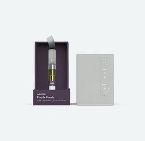 ASCND - Purple Punch (0.5 mL)