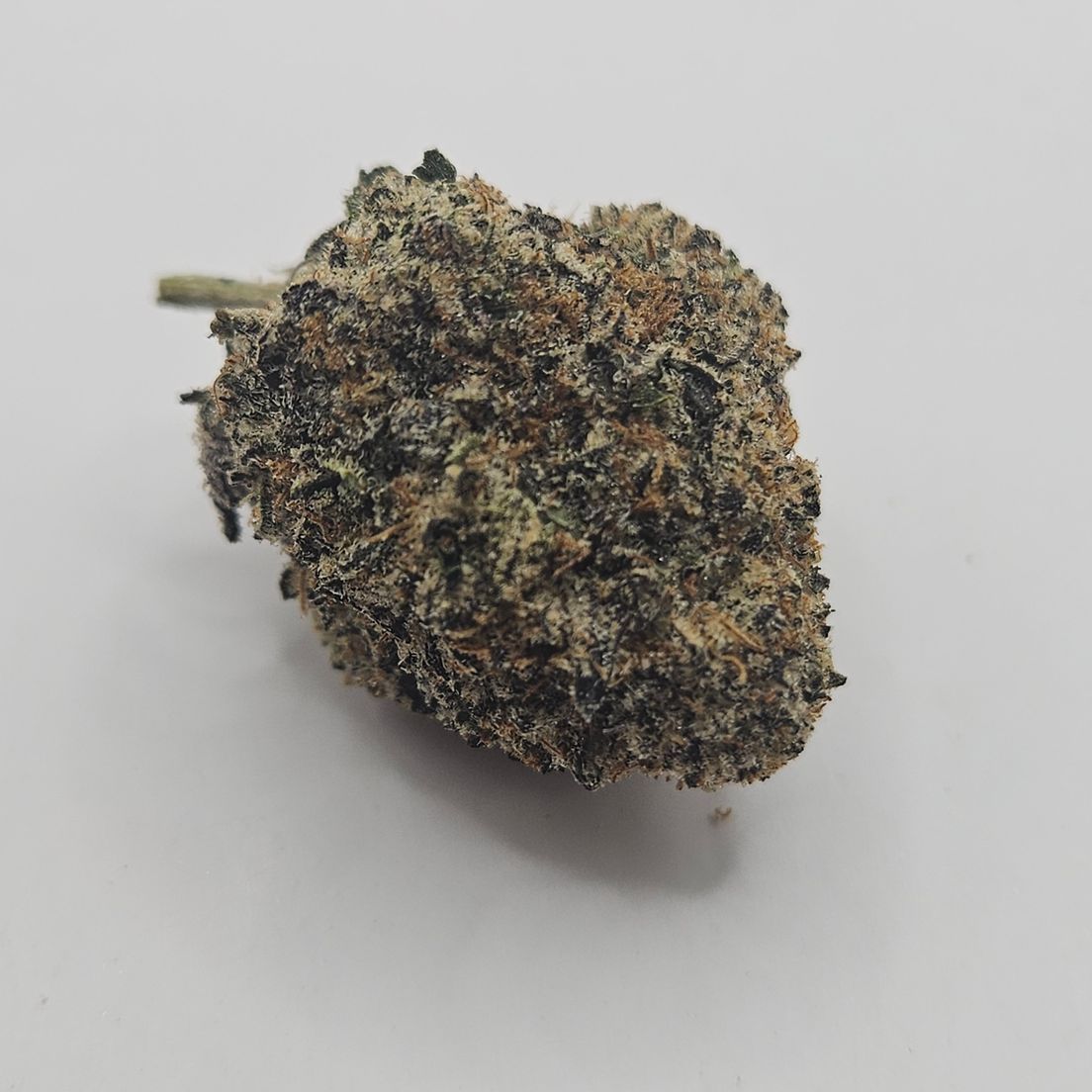*Indoor - Grape Ape - 23% - IDH