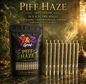 0.7G Pre-Roll: PIFF Haze (100% Sativa) 10 PACK
