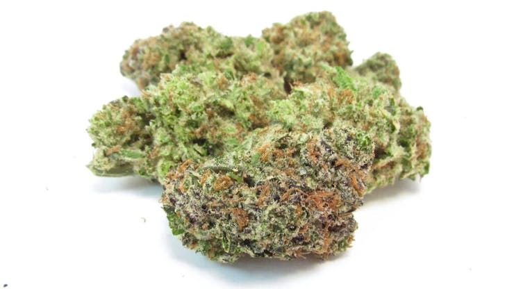 B. Planta Cannabis Company 3.5g Exotic Flower - Quality 9.5/10 - Gelonade