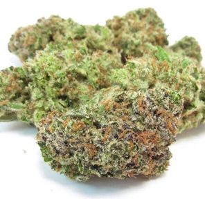 B. Planta Cannabis Company 3.5g Exotic Flower - Quality 9.5/10 - Gelonade