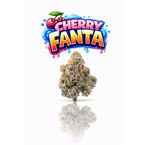 CHERRY FANTA - 14G | INDOOR FLOWER