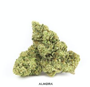 Almora Farms Legend OG 14g 29.7%