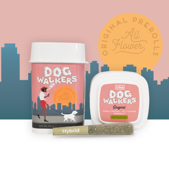 Dogwalkers Original Joint Jar - Hybrid - Our Payton - 50 Full Flower Pre Rolls