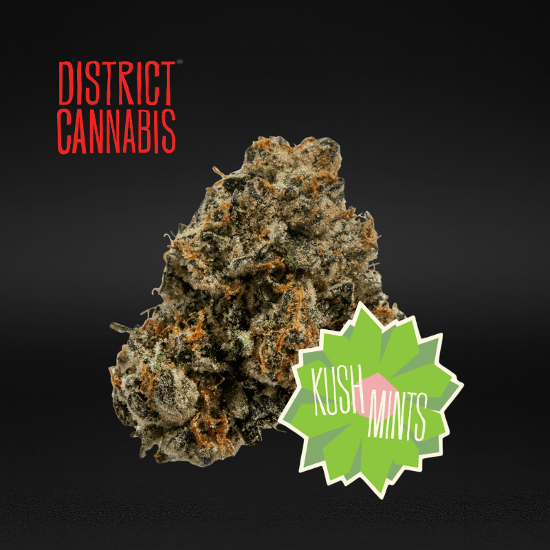 District Cannabis | Kush Mints - Flower | 3.5g | Hybrid