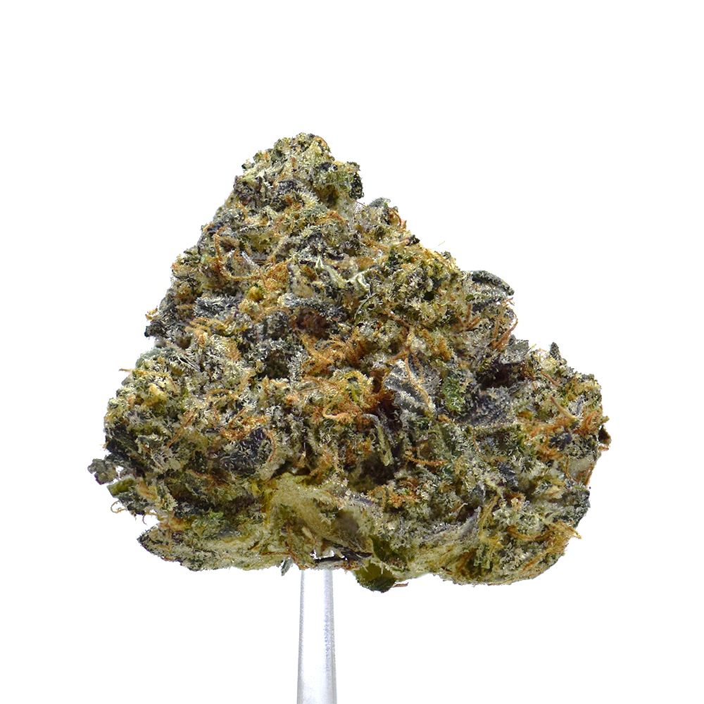 Gas | NEW!