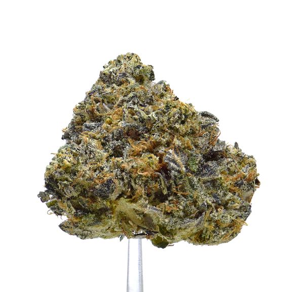 Gas | NEW!