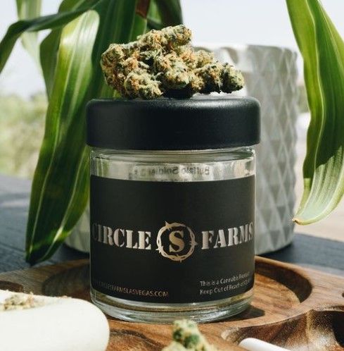 109. Kosher Dawg 3.5g - Circle S Farms Flower