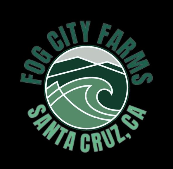 Fog City Farms - Hashburger - 3.5g - Indica