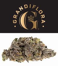 Grandiflora Indoor Loma Prieta 3.5g
