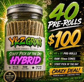 40 Pack JAR 1 Gram Pre-rolls - HYBRID PICK