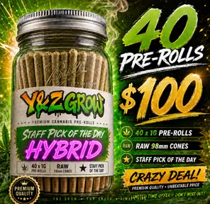 40 Pack JAR 1 Gram Pre-rolls - HYBRID PICK
