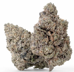 Bad Decisions Infused StarFire Bud $260 terps Hawaiian Haze
