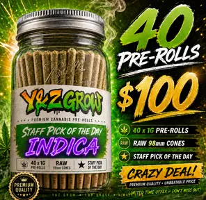 40 Pack JAR 1 Gram Pre-rolls - INDICA PICK