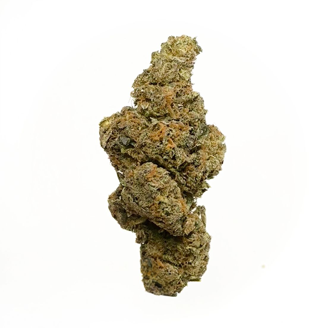Mimosa - AAA+ - 3.5g Package