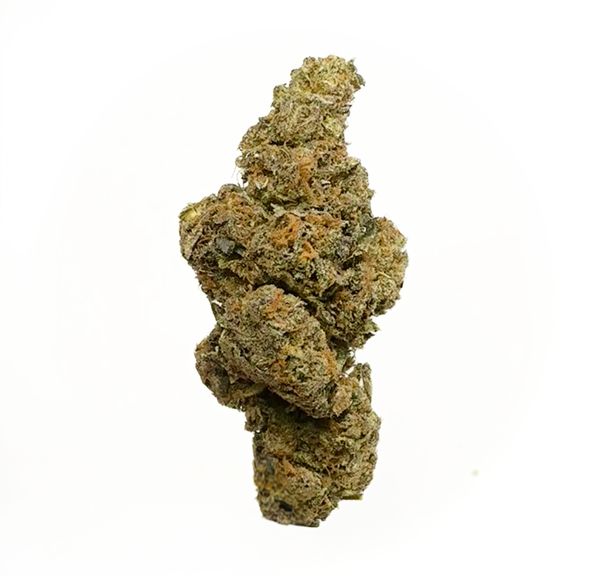 Mimosa - AAA+ - 3.5g Package