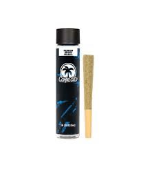 [Connected] Preroll - 1g - Tropical Z (S/H)