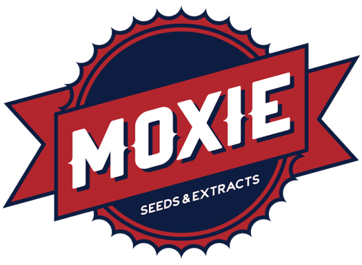 MOXIE LR SAUCE: BLOOMFIELDS SOUR SANDIA