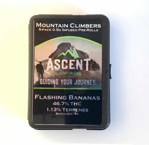 Ascent .5g/5pk Infused Prerolls Mountain Climbers Flashing Bananas