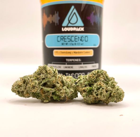 PRE-ORDER ONLY 1/8 Crescendo (Indoor/27.50%/Sativa) - Loudpack