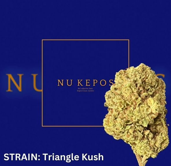 Triangle Kush