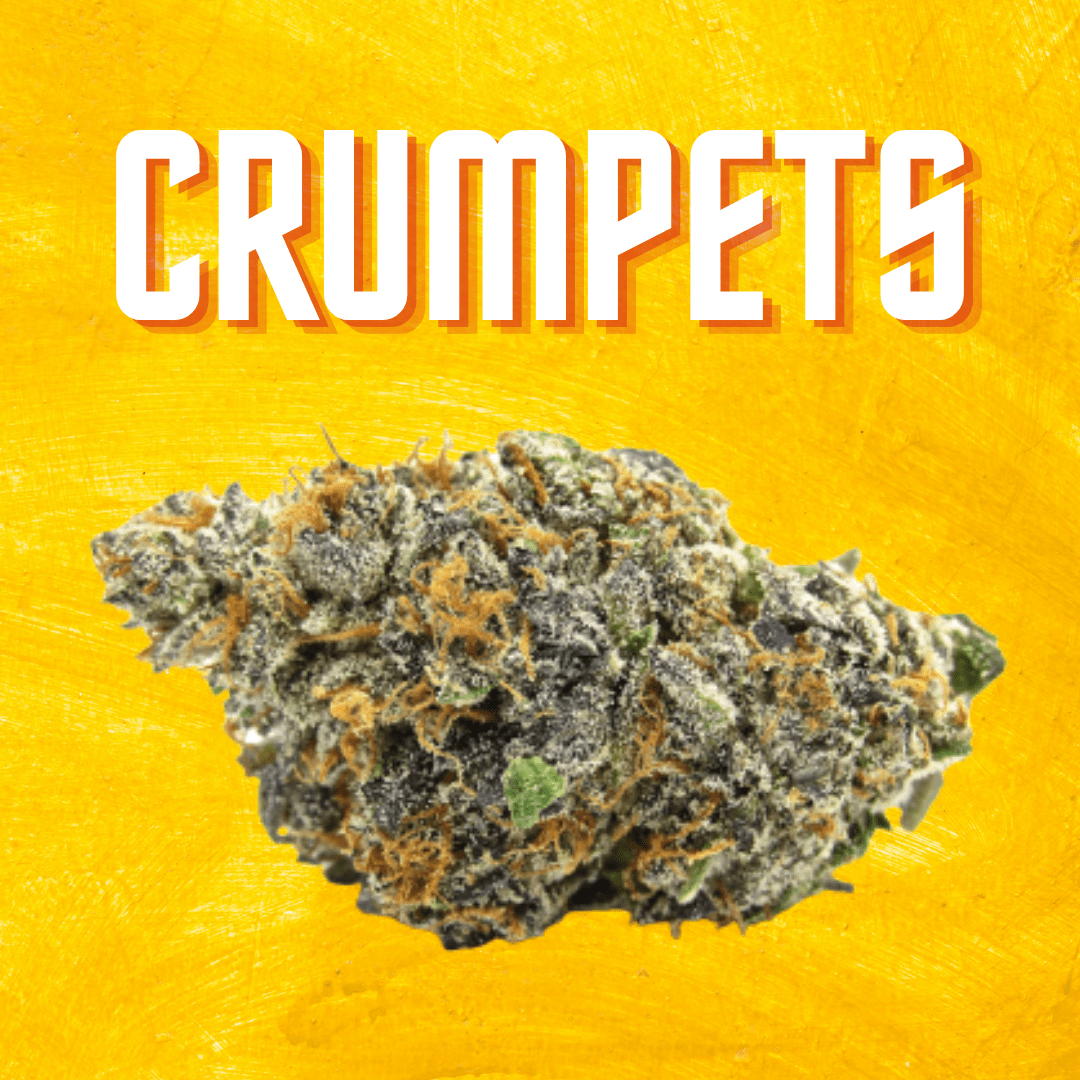 DAZE - Crumpets (3.5g)