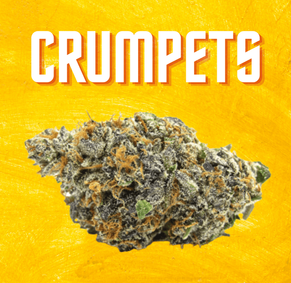 DAZE - Crumpets (3.5g)