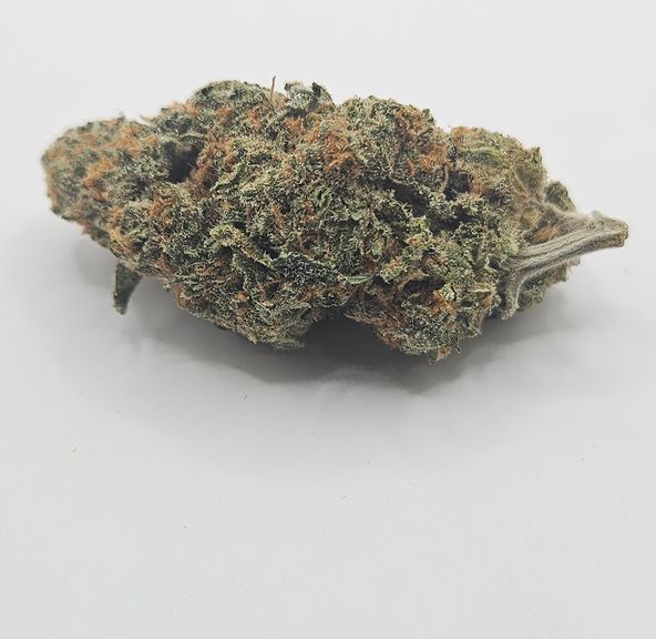 *Indoor - Mac 1 - 24% - H