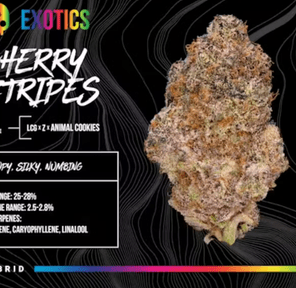 BOSKY- 14G CHERRY ZTRIPES