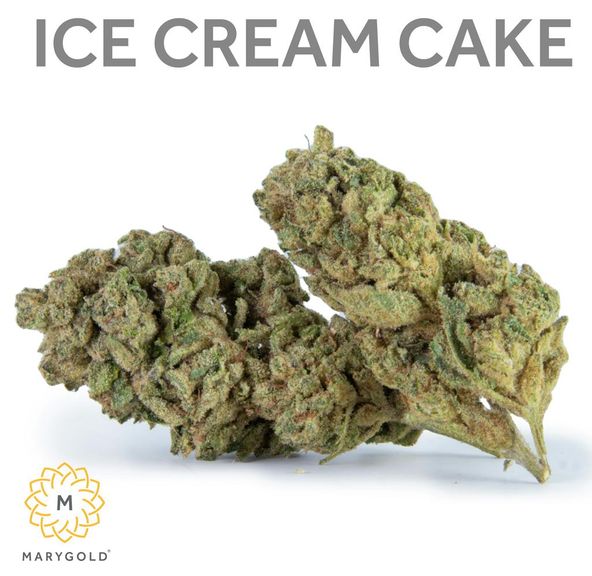 Marygold - Ice Cream Cake 3.5g