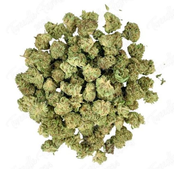 Apes in Space Smalls