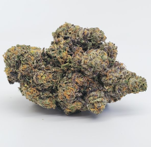 FARM2LAB Biscotti x Sherbert x Jealousy 1/8th Jars