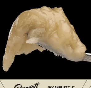 BARRETT FARMS ROSIN- 1G ZESTY SHERB