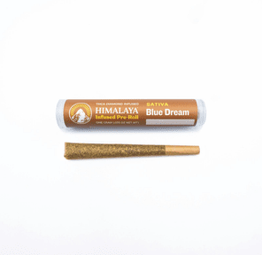 Himalaya Infused Pre-roll Blue Dream 1g