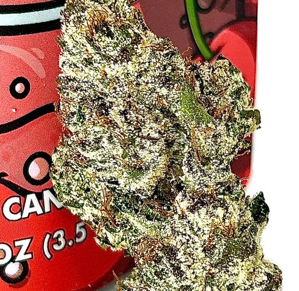 CLOUT KING - Cherry Fresca - 3.5g