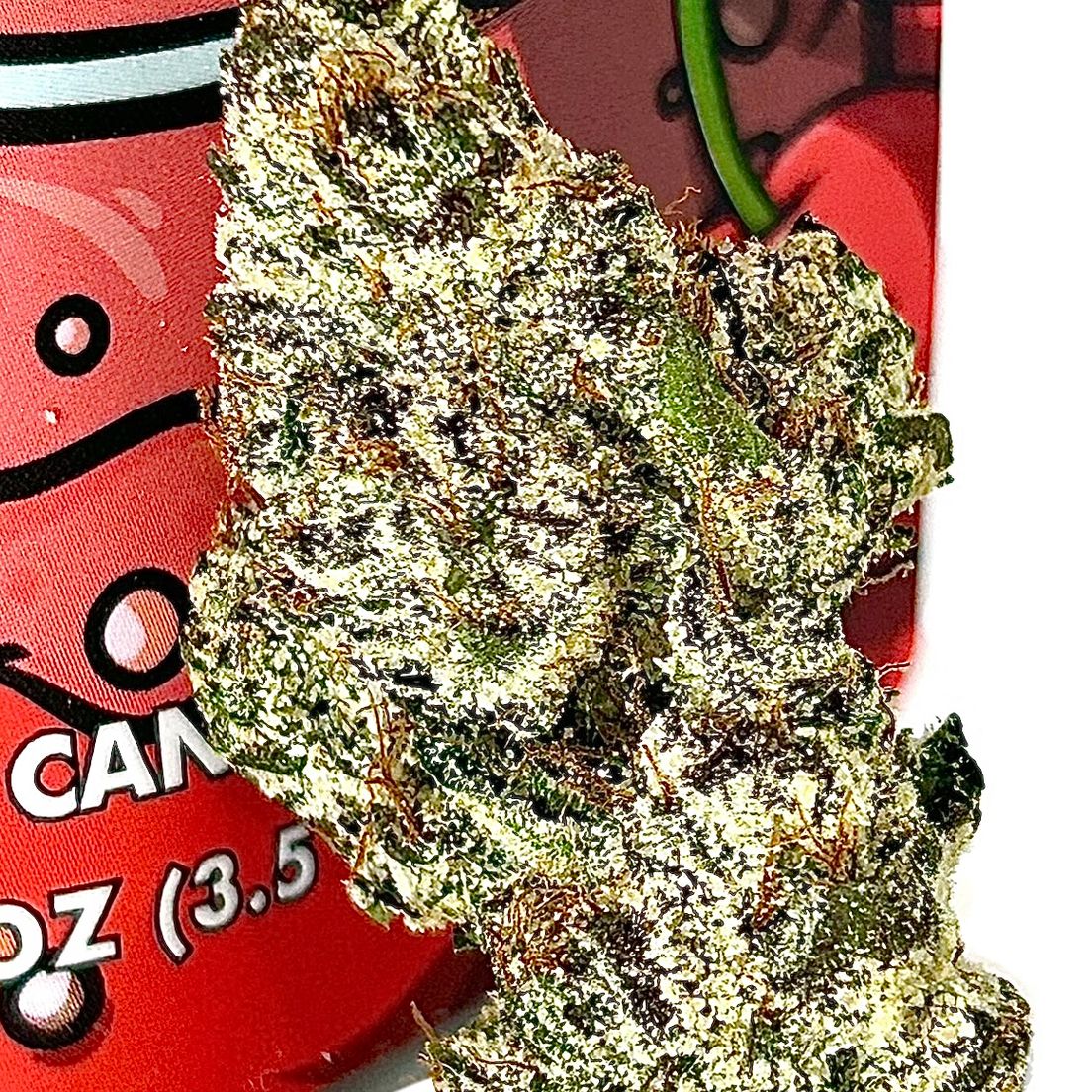 CLOUT KING - Cherry Fresca - 3.5g