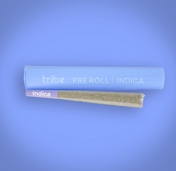 TRIBE PODDY MUFFINS PREROLL 1G