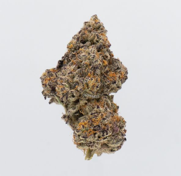 7G - Tropicana Cookies
