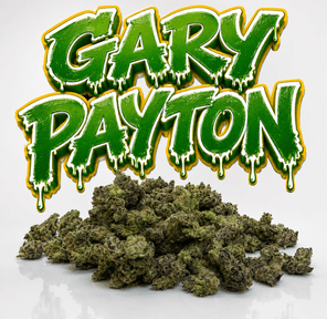 GARY PAYTON- 28G | INDOOR SMALLS | HYBRID