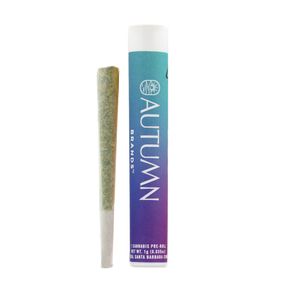 Autumn Brands | Preroll | 1g | Purple Dump Truck