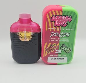 Bodega Boyz - Disposable - Passion Fruit Diesel x Green Apple Kush - 2G