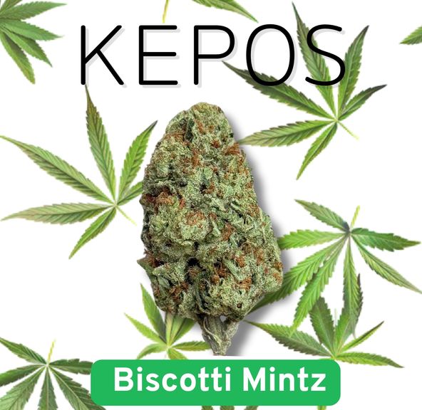 Kepos - Biscotti Mintz 14g - PREMIUM INDOOR FLOWERS