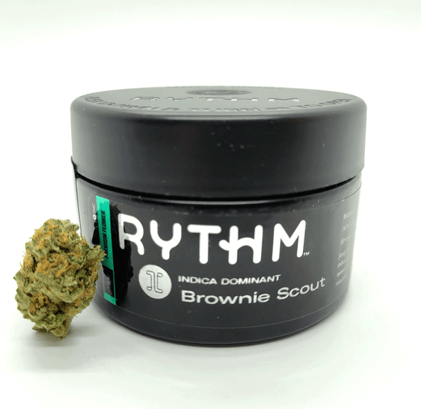 Brownie Scout (F-I-23)