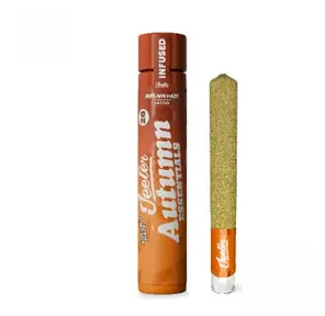 Autumn Haze Seasonal Essentials XL Infused Pre Roll 2.00 g